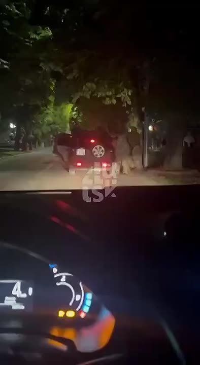 ���� �� �������: ��������?. � ����� �������� �������� ����� ����� ���� ����� - ������ � ��������