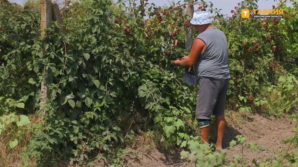 ����������� �������-������� ������� �� ���������� � � ��������� "������� � ����������"