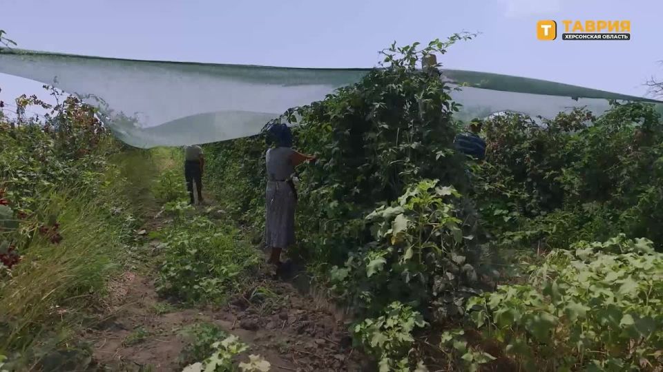 �� ��������� ��������� � ��������������� ������ �� ���� ����� ������� �� 600 ����������� ����