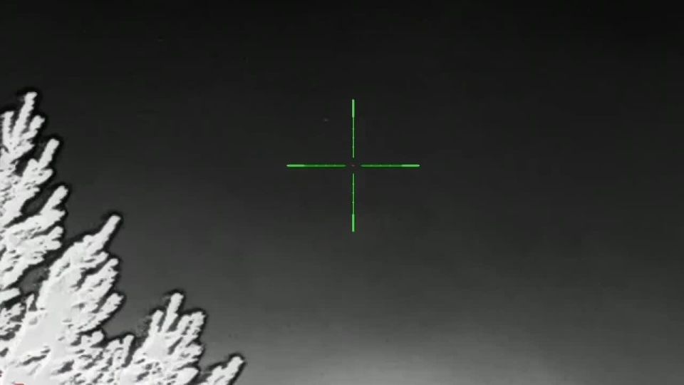 �������� ������: �� ����������� ������ �������� ����� ����� ������ ���������� ���������� 18-� ����� ����������� ����� ������ ����� 11 ���������� ������ �����-���