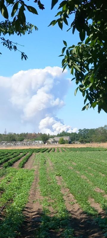 Руслан Хоменко: К сожалению, ситуация в Алешкинском округе продолжает оставаться напряженной