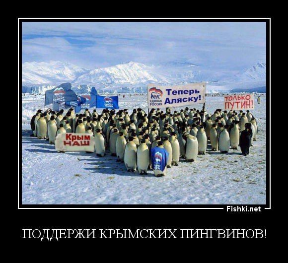 ���������� ������ � ������ ������� 15 ������� �� ������