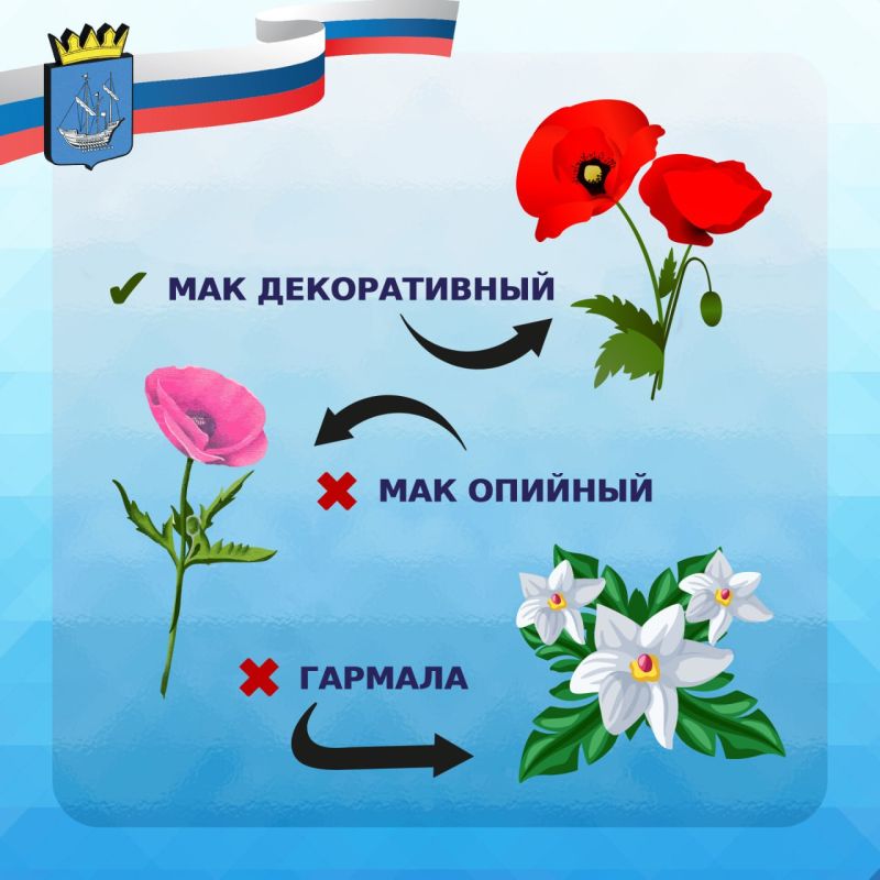 ����������� ���������� � ���, ��� ����������� ��� ����������� �������� ���������� ������������� ��� ������������ ��������, �� ����������, ���������� �������� � ���������� ���������, �������� � �������� ��������, ������������...