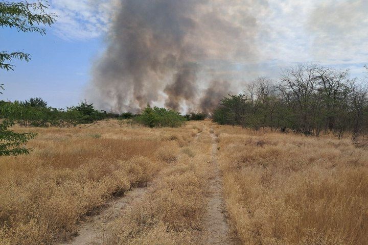 � ����������� ������ �� ������ ��������� ������ �������