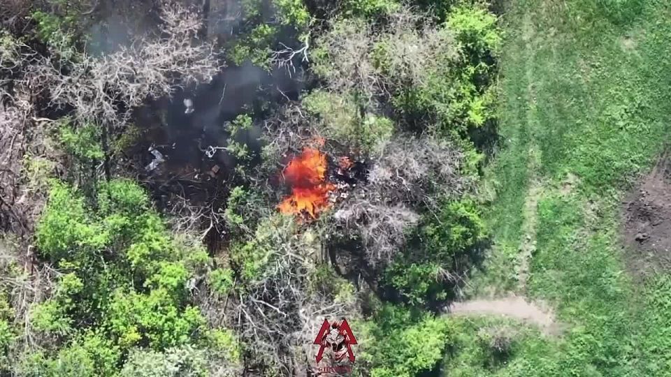 ����������� �������� ���� ����������