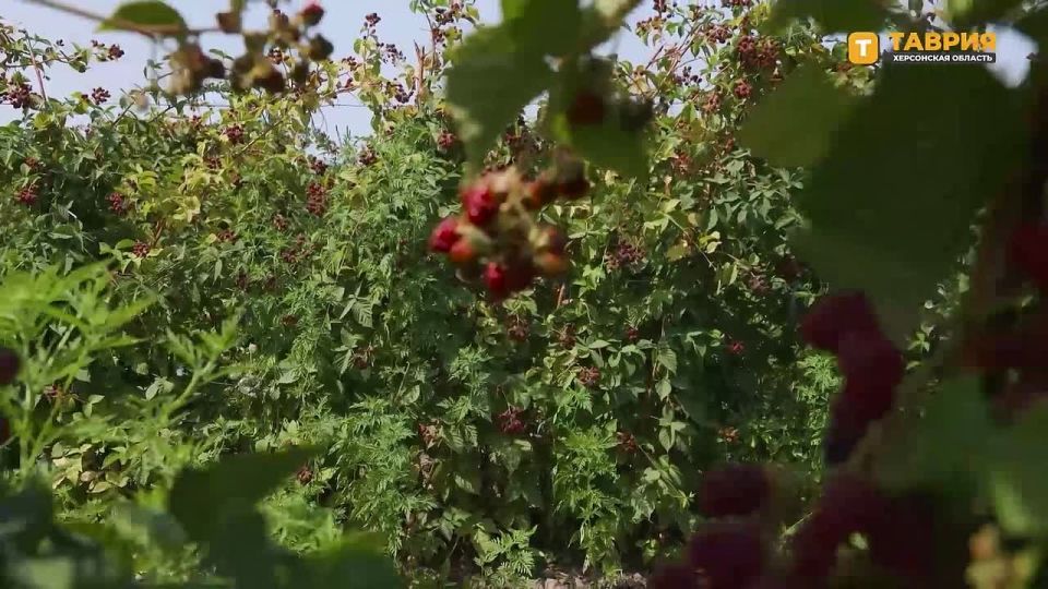 ����� �� ���������� ������� � ������ �������� ������ ������ � ������ �����