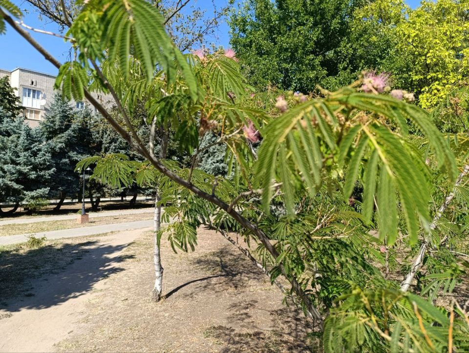 ������ ����, ������ ���������� �������������� ������!