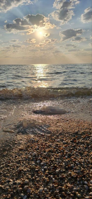 �������� ������: ���������� ������� � ������������ �����, ��� ����������� �������� � ׸���� ����