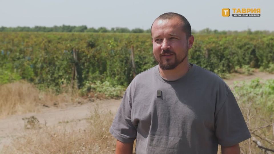 �� ��������� ��������� � ��������������� ������ �� ���� ����� ������� �� 600 ����������� ����