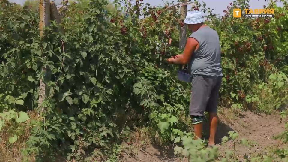 1 ���������� ������� ������� ��������� ������ �������-������� �������