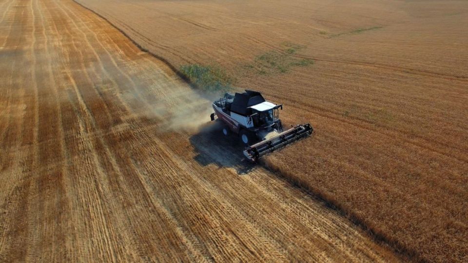 � ���������� ������� ������������ ��������� ��������