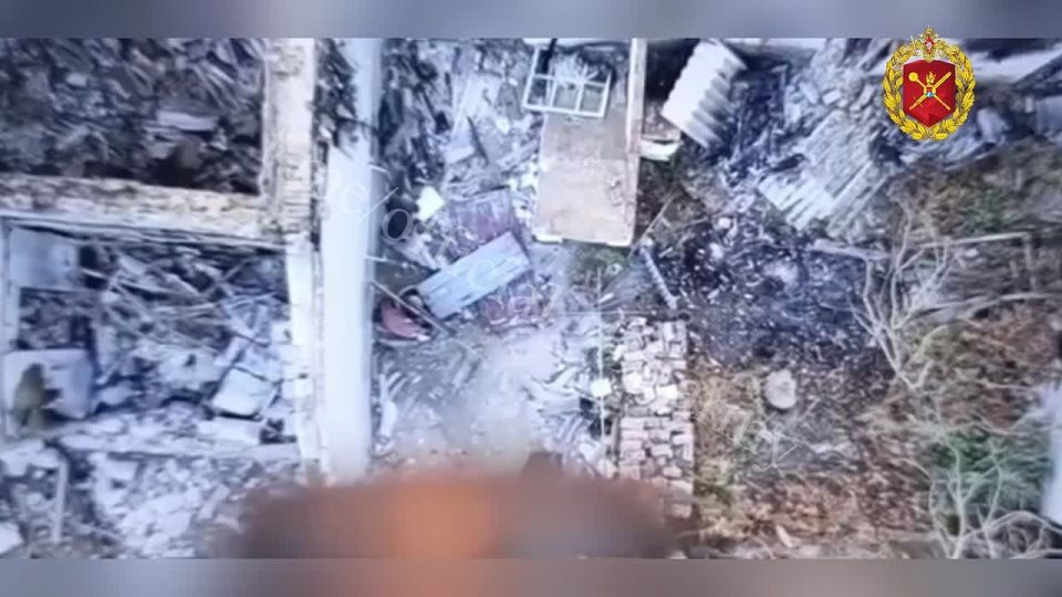 ��������� 49-� ����� ���������� �������� �������� �� ����� ������� ����� ����������