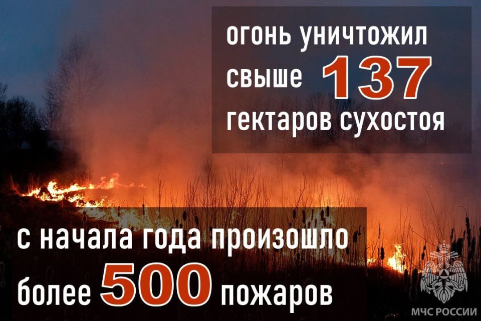 ������������ ���������������: ���������� ��� ������ ���������� ������ �� �������