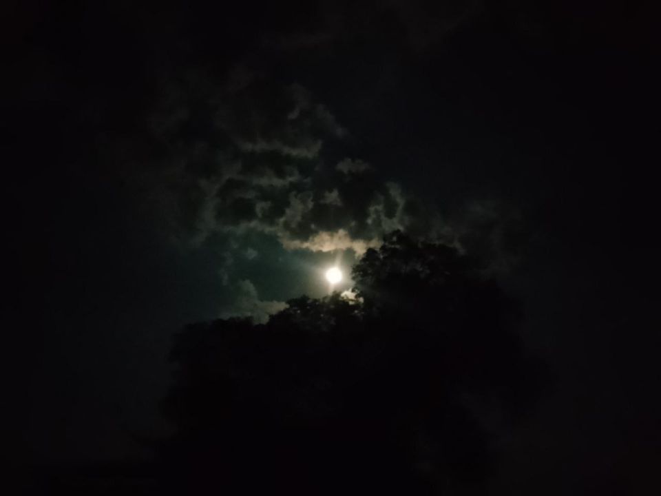 ��������� �������� ������ �������� ����� � ������� �������