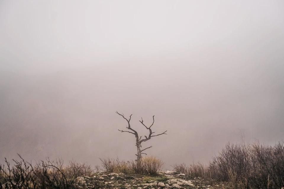 � ���������� ������� 11 ������� ������� �����