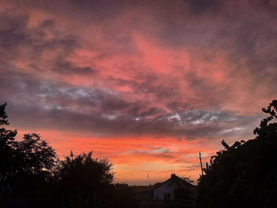 ����� � ���� ��������. ���� | �� | �� | ���