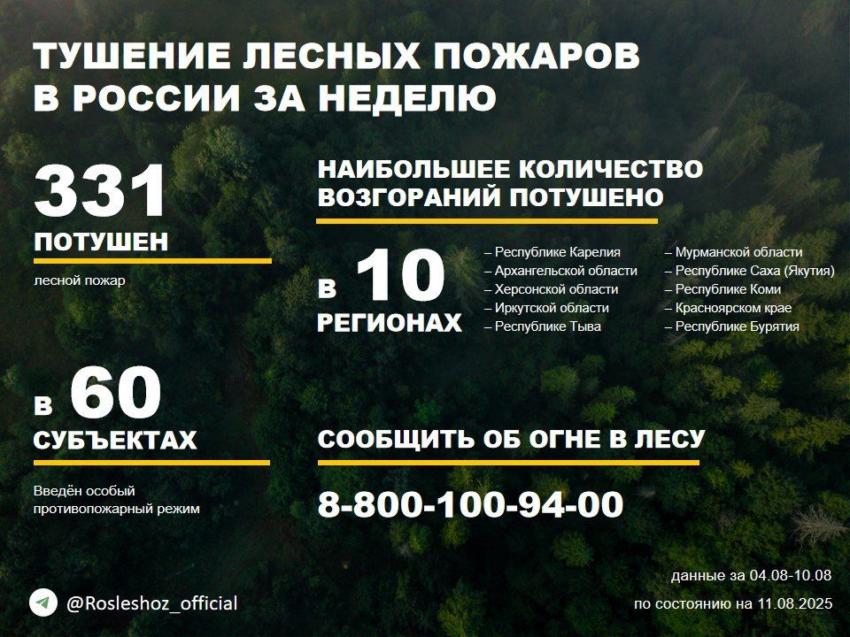 �� ������ ��������������, ���������������� ����������� ����������, �� ��������� ������ ������� 331 ������ ����� � 38 �������� ������