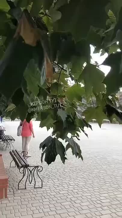 � ������� ��������� ����������� �������� � �����������������