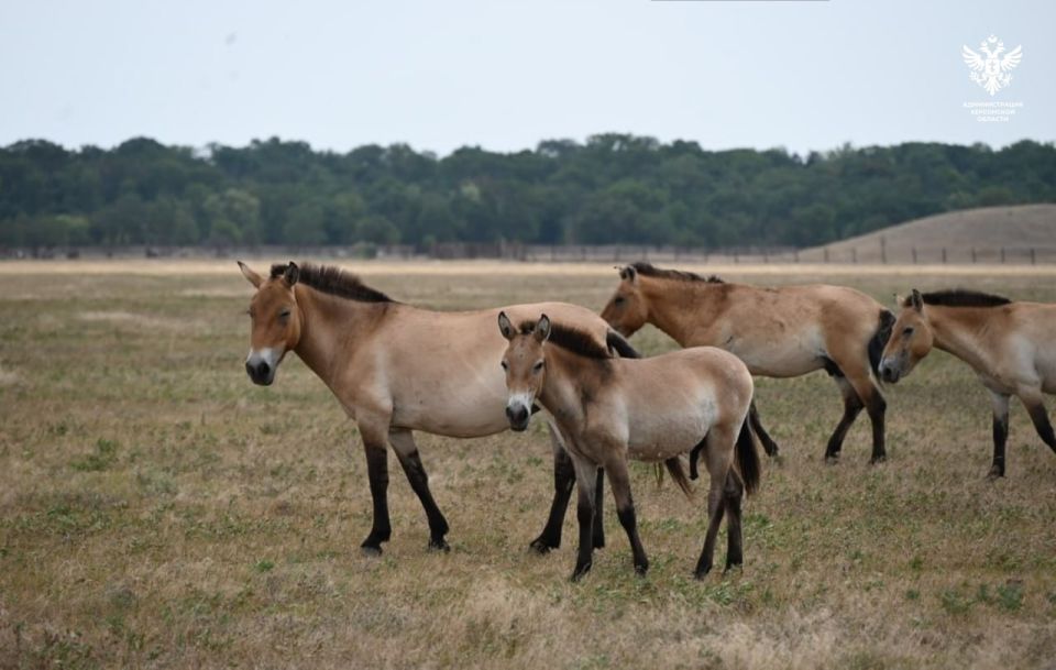 ���������� ������� �������� ����� �� ���������� ������� �������������