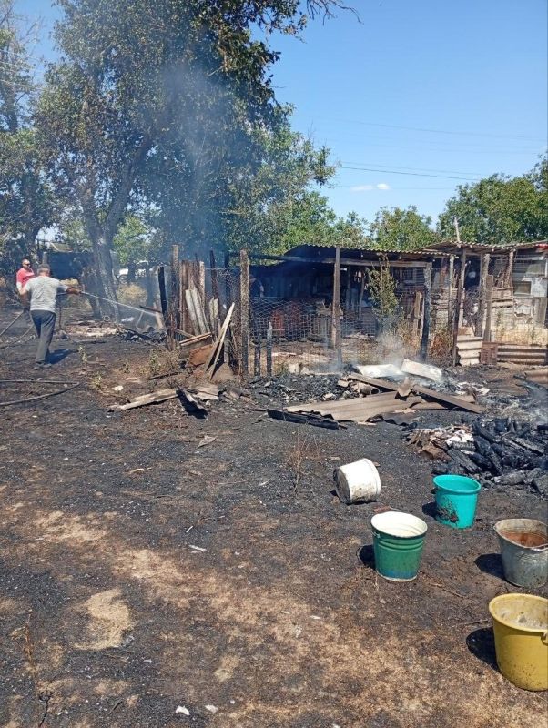 ����������� ������ ����� ��� �. �. ������� �� �������������� �������