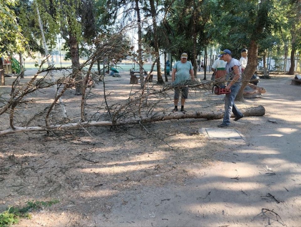 Сотрудники МБУ «Джарылгач» провели работы по благоустройству центральной части Скадовска