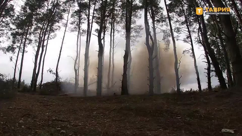 ������� ������ "����-�" ���������� ������ ���������� ���� � ��������� ������ ��� �� ������ ������ ������