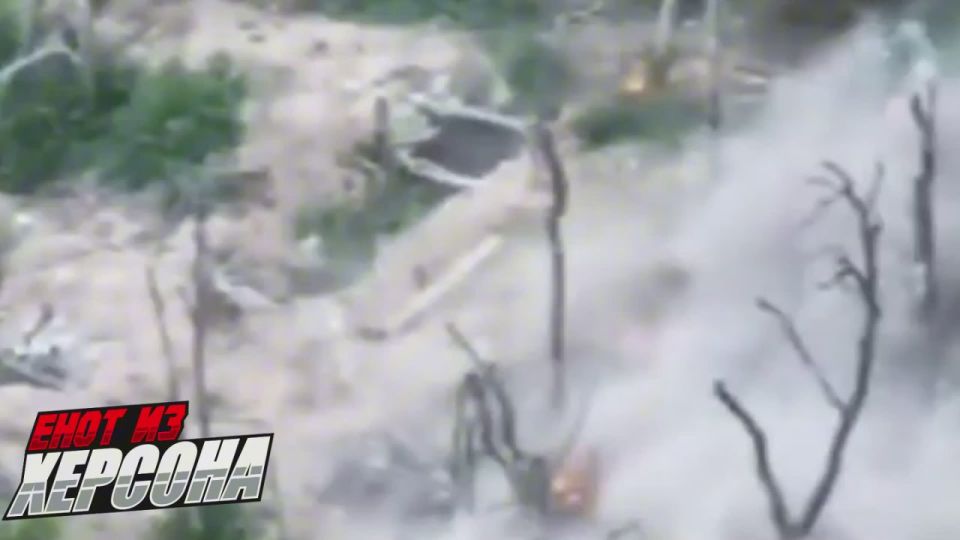 ���� �� �������: ������ �� �� � ������ �������������� �������� ������� ���������� ������� ����� ��� ��������� ��������� �������������