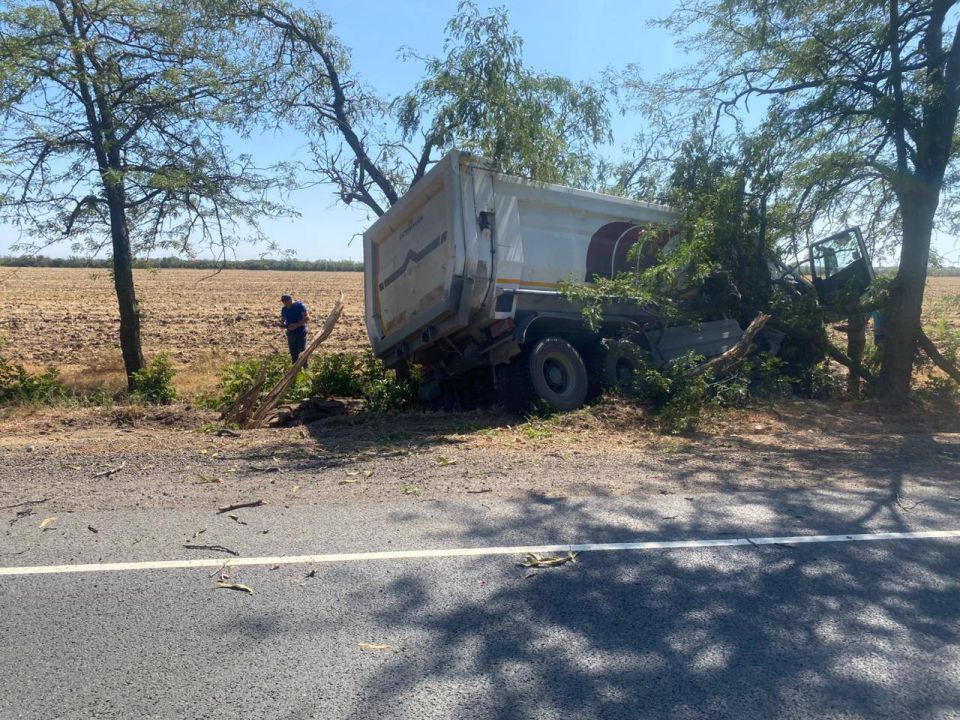 �������� "���� ������" ����� ����� ������������ � ���������� � ��������������� ������