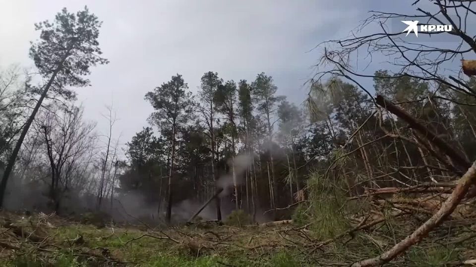 ������������ ������ ���� ������� ���������� ������� ���: ������ ������������� ������������ ��������� ������������ � �����������