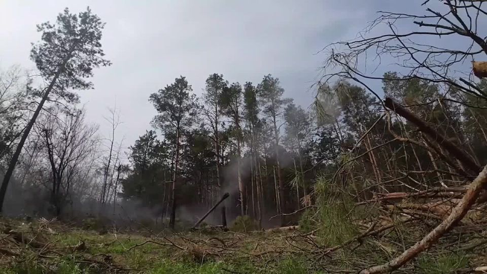 �������� ������: ������� �����-�� ���������� ������ ���������� ������� ���������� � ������� ������������ ����������� ������������ �� ������ ������ ������