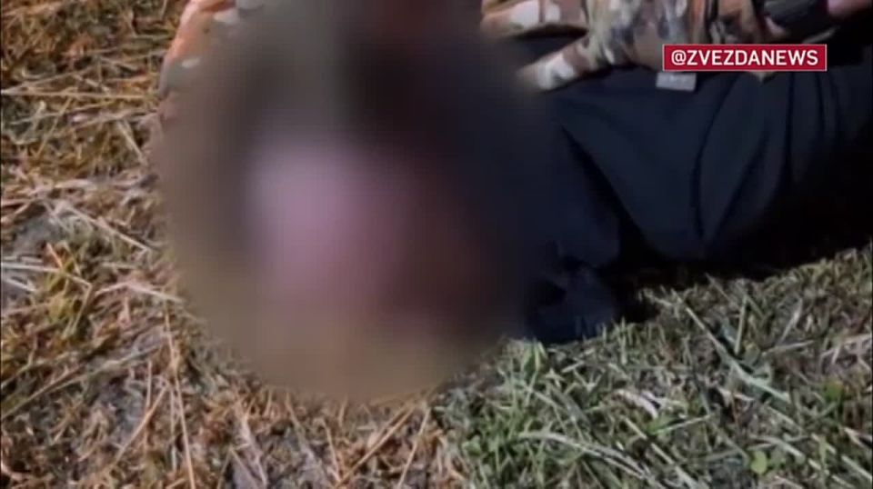 ��� ������������ ����� ������������ �����