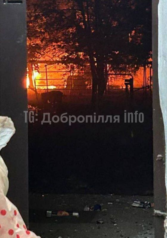  :      11  - 12  2025 