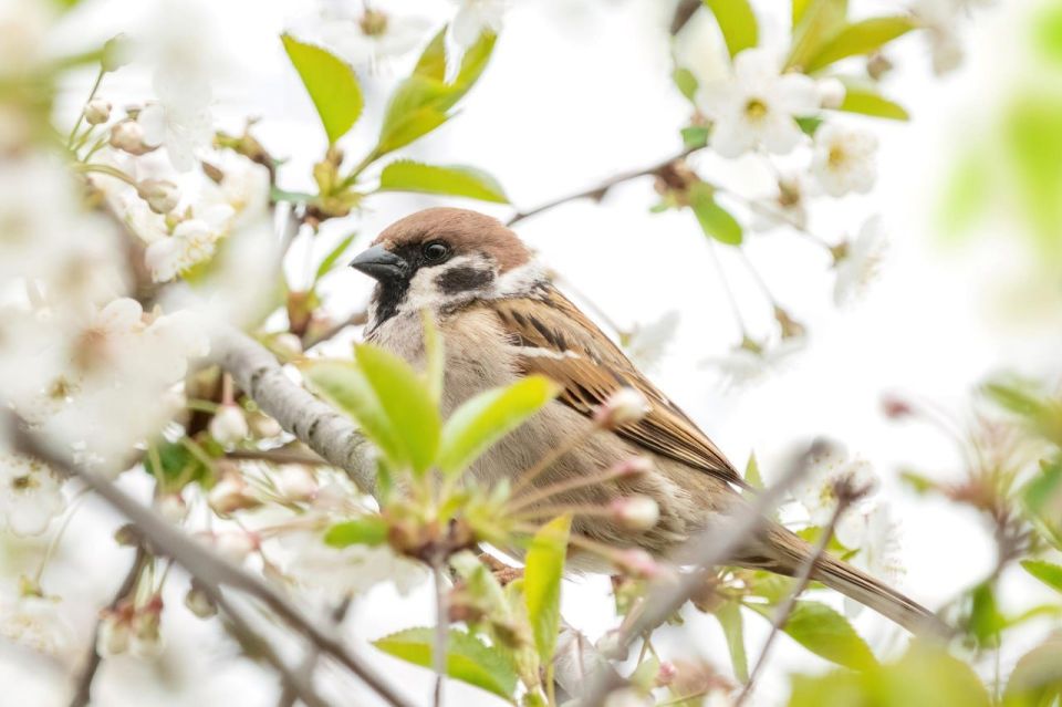 ����������� ���������� ������� ��������� ������� ������� � ���������� ��������