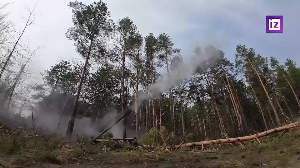 ������� ������ "����-�" ������������ ������������ ���������� ��� � ���������� ������� �������� ���� ������� ���������� ����������� ������� � ��� ��������� ������ ��� �� ������ ������ ������