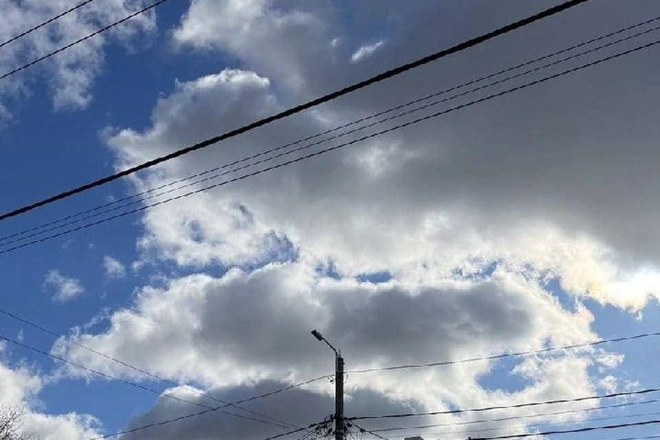 � ���������� ������� 12 ���� ����������� � ������������