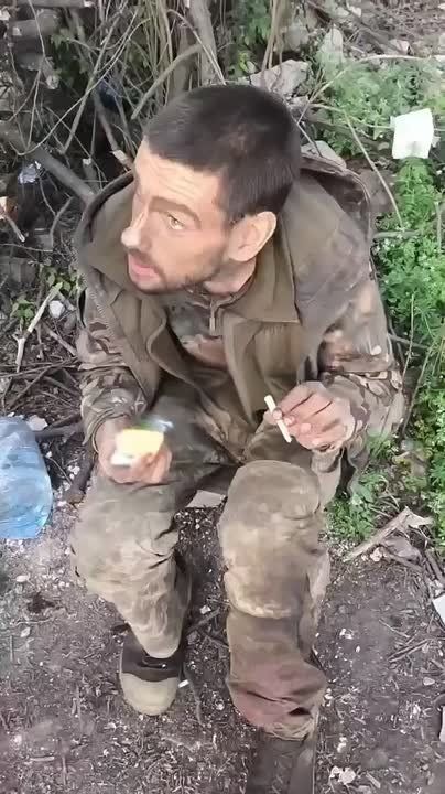 �� ���������. �������, ������� ���� ������