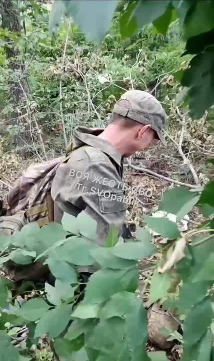 ������� ������� �����������