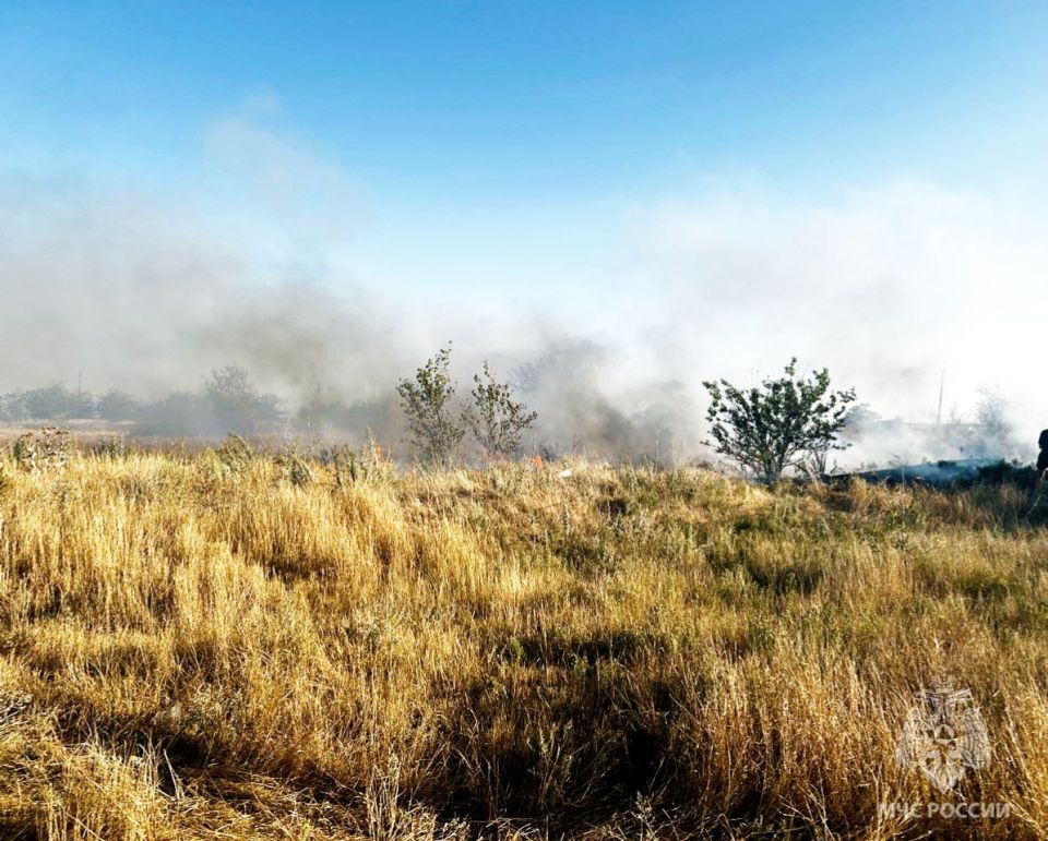 #�������������84. � ���������� ������ ��������� �������� ������� ����� � ���� ����������� �� ��������� ����������� ������ ����� �������� � 2 ����������������� ������������