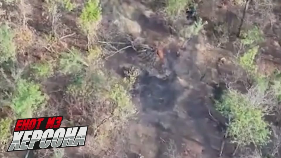 ���� �� �������: �������������� ���������� ������� ������� ��� ��� ��������