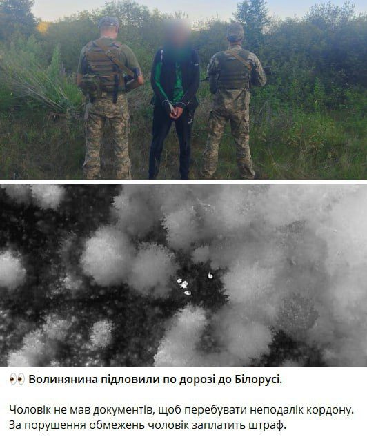 ���� �� �������: ���������� ������������ ������� �������� �����������: �� ������� ������ ������� � ������� � �����������