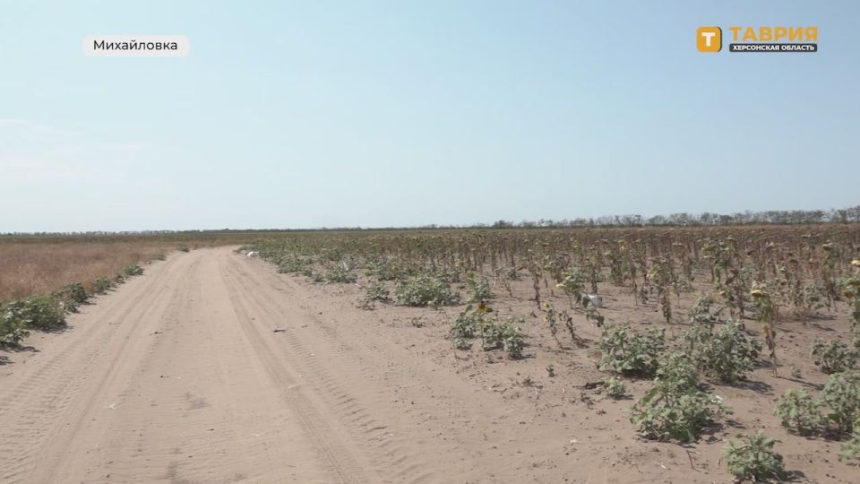 ������� ����������, ������������ ������������ ������������, ����������� � ��������� � ���������� � ����������� ���������