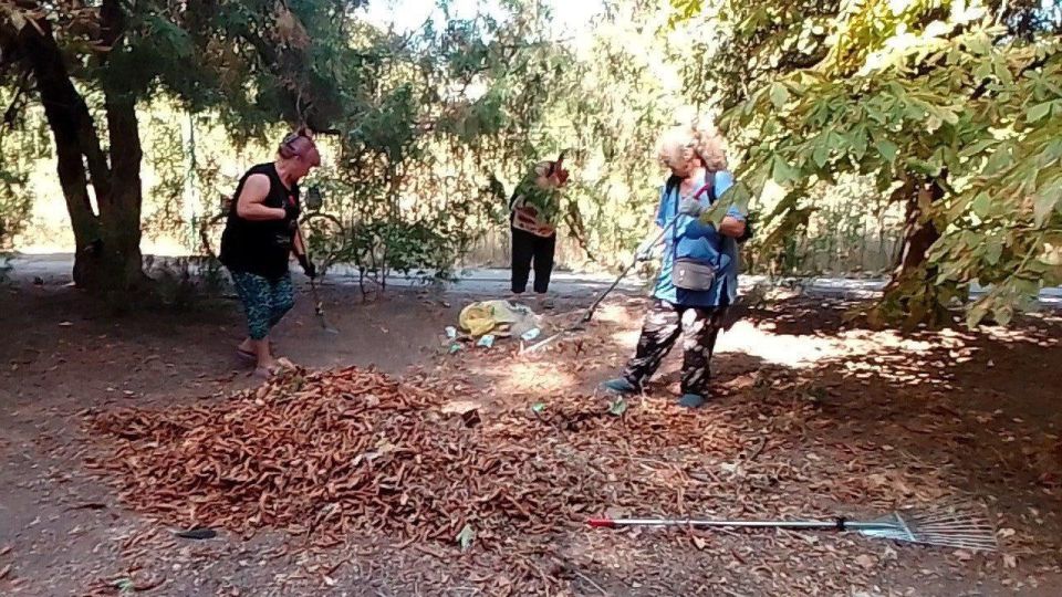 ����������� ��� ����������� ������� ������ �� ��������������� ���������