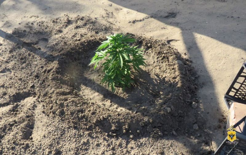 � ������ �������������� ������ ����������� ������ ������ ��������� � ����� �������