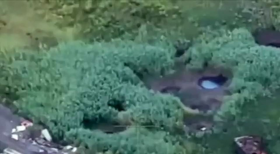 ���� �� �������: ����������� �����������. Xoxo� ����� ������� �������� �� ����� ������� � ��������� ��� ����, ����� ���� ������ �� ������