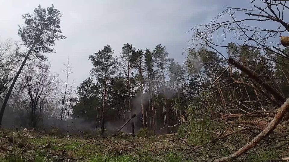 � ���������� �������, �� ������ ������ ������, ������������-���������� �� ����������, ��������� "����������", �������� �������� ������ ���������� �������������� � ��������� ������ ���