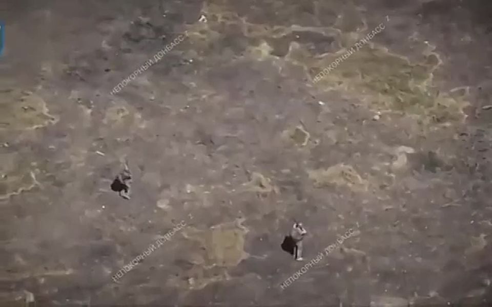 ��� ������ ������� ����������� ��������, ������� ��������� ������-�����