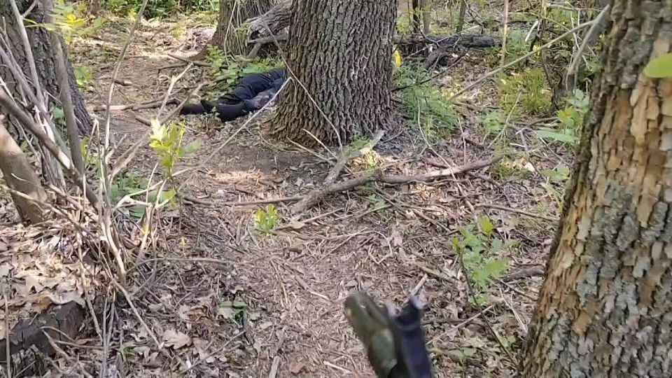 ���������� �����������. ����� ���������� ��������� �� ������ �� ������ ������ ��-��� �������� ������