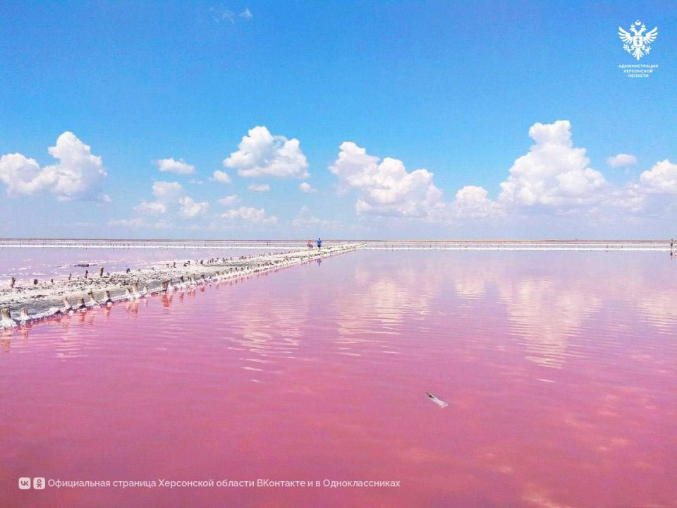 � ���������� ������� ���������� ������ ��� �������������� ������������ �������