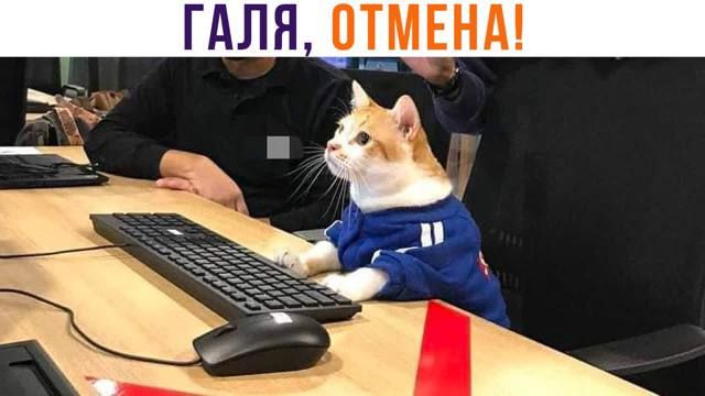 Тут коллеги-журналисты немного словари перепутали