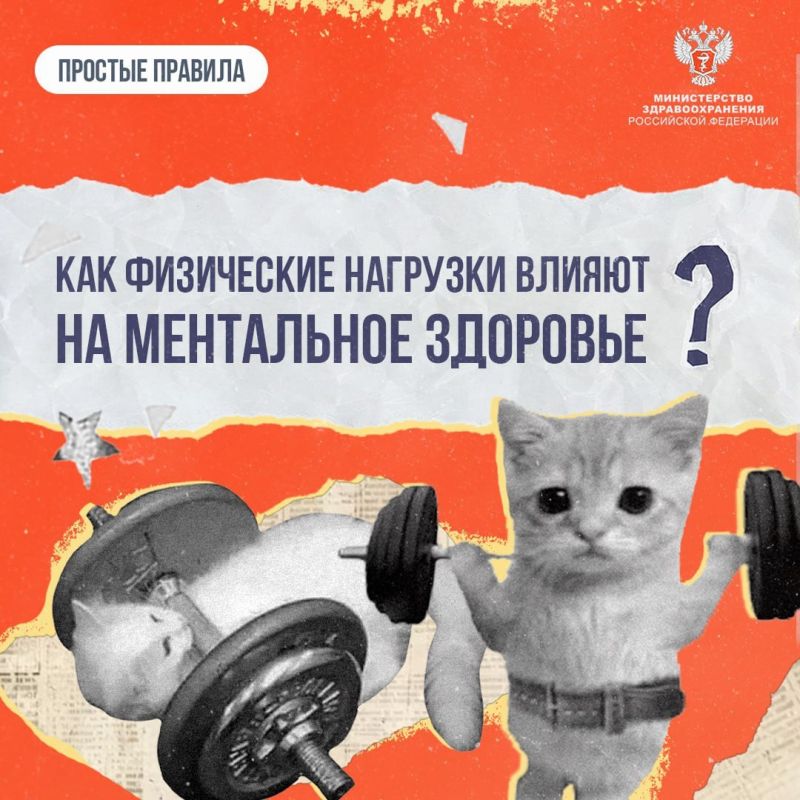 �������� ������ (VK). #��������������: ��� ���������� �������� ������ �� ���������� �������� �� ���� ��������� ����������� �������� ����� ��������������-���������������� ������ ���� ������� � ���������������� ��������...